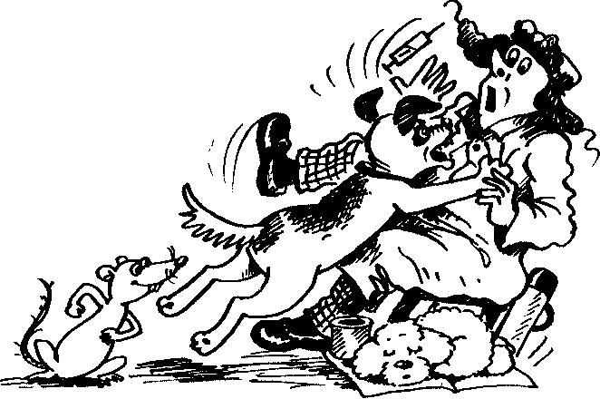 Иллюстрация к книге — Пончик идет по следу [i_019.jpg]