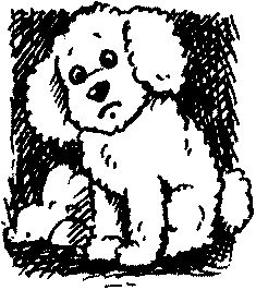 Иллюстрация к книге — Пончик идет по следу [i_021.jpg]