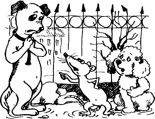 Иллюстрация к книге — Пончик идет по следу [i_022.jpg]