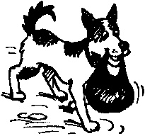 Иллюстрация к книге — Пончик идет по следу [i_025.jpg]