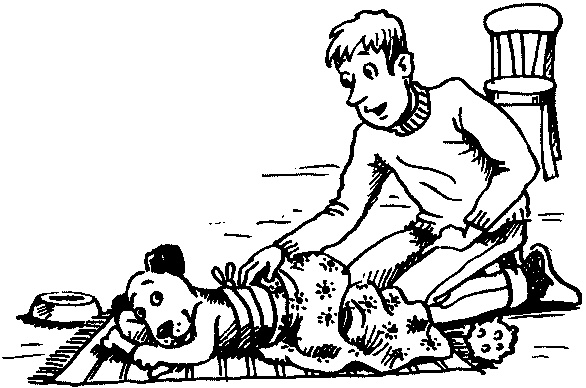 Иллюстрация к книге — Пончик идет по следу [i_033.jpg]