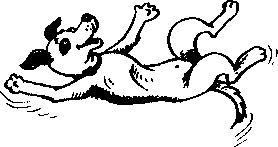 Иллюстрация к книге — Пончик идет по следу [i_038.jpg]