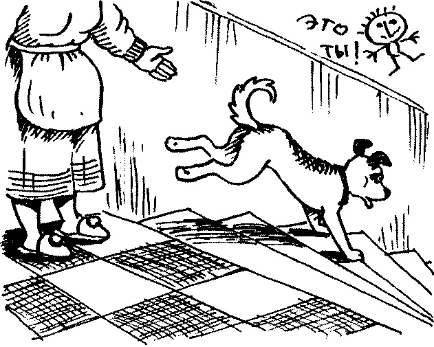 Иллюстрация к книге — Пончик идет по следу [i_043.jpg]