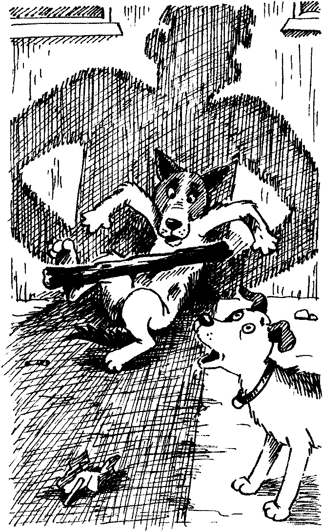 Иллюстрация к книге — Пончик идет по следу [i_055.jpg]