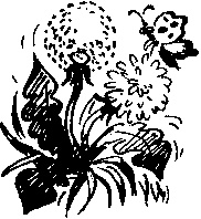 Иллюстрация к книге — Пончик идет по следу [i_057.jpg]