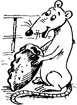 Иллюстрация к книге — Пончик идет по следу [i_060.jpg]