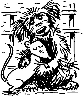 Иллюстрация к книге — Пончик идет по следу [i_061.jpg]