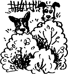 Иллюстрация к книге — Пончик идет по следу [i_065.jpg]