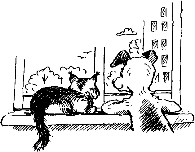 Иллюстрация к книге — Пончик идет по следу [i_099.jpg]