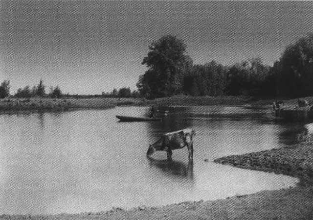 Иллюстрация к книге — Патриарх Тихон [i_004.jpg]