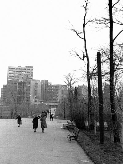 Иллюстрация к книге — &quot;Будь проклят Сталинград!&quot; Вермахт в аду [i_003.jpg]