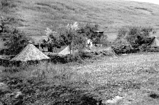 Иллюстрация к книге — &quot;Будь проклят Сталинград!&quot; Вермахт в аду [i_045.jpg]