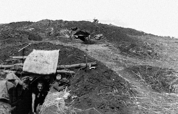 Иллюстрация к книге — &quot;Будь проклят Сталинград!&quot; Вермахт в аду [i_055.jpg]