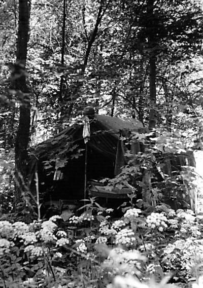 Иллюстрация к книге — &quot;Будь проклят Сталинград!&quot; Вермахт в аду [i_059.jpg]