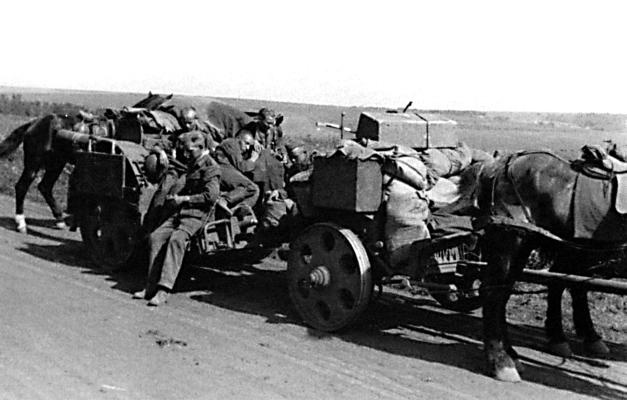 Иллюстрация к книге — &quot;Будь проклят Сталинград!&quot; Вермахт в аду [i_061.jpg]