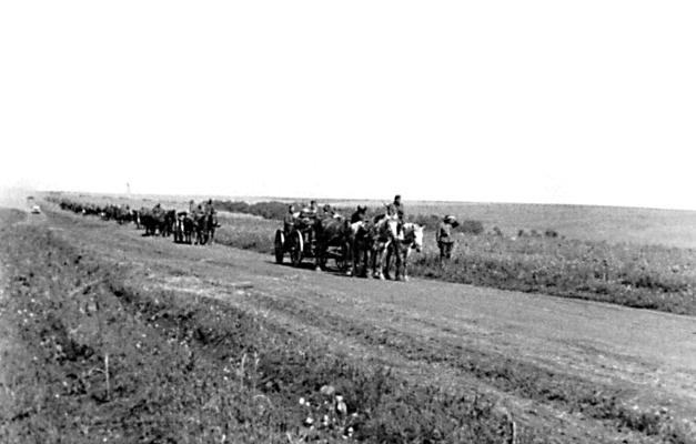 Иллюстрация к книге — &quot;Будь проклят Сталинград!&quot; Вермахт в аду [i_063.jpg]