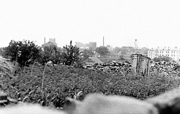 Иллюстрация к книге — &quot;Будь проклят Сталинград!&quot; Вермахт в аду [i_076.jpg]