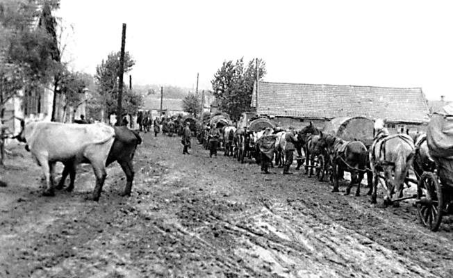 Иллюстрация к книге — &quot;Будь проклят Сталинград!&quot; Вермахт в аду [i_077.jpg]