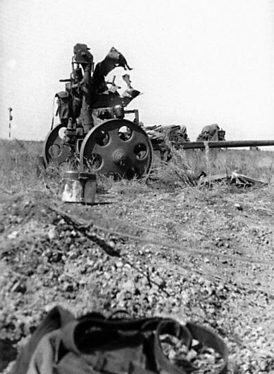 Иллюстрация к книге — &quot;Будь проклят Сталинград!&quot; Вермахт в аду [i_110.jpg]