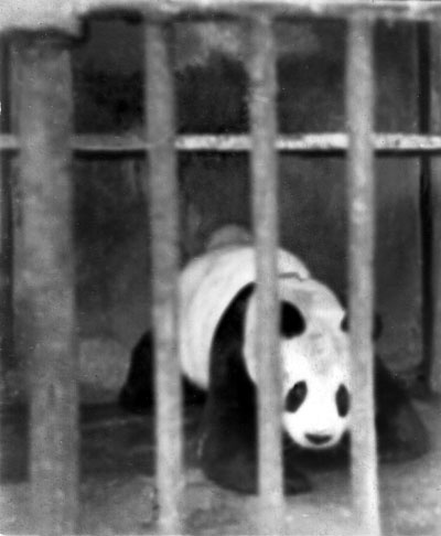 Иллюстрация к книге — Бездумное былое [i_014.jpg]