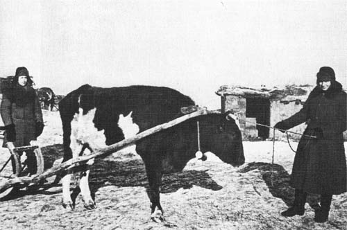 Иллюстрация к книге — По краю бездны. Хроника семейного путешествия по военной России [i_018.jpg]