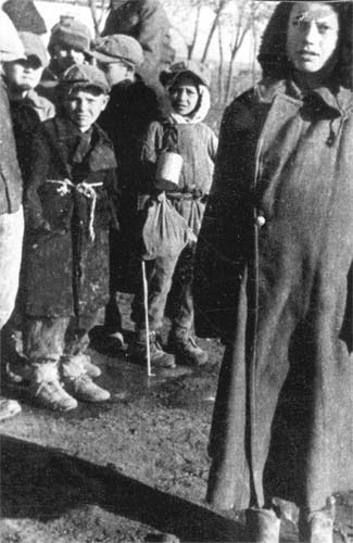 Иллюстрация к книге — По краю бездны. Хроника семейного путешествия по военной России [i_020.jpg]