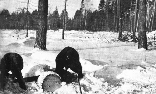 Иллюстрация к книге — По краю бездны. Хроника семейного путешествия по военной России [i_021.jpg]