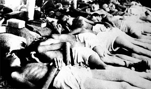 Иллюстрация к книге — По краю бездны. Хроника семейного путешествия по военной России [i_025.jpg]