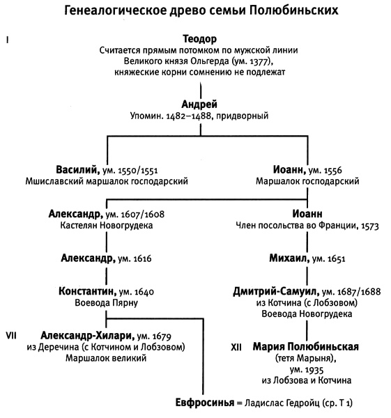 Иллюстрация к книге — По краю бездны. Хроника семейного путешествия по военной России [i_039.jpg]