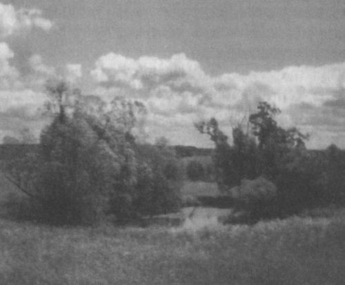 Иллюстрация к книге — Мусоргский [i_002.jpg]