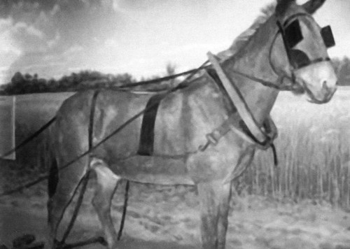 Иллюстрация к книге — Вашингтон [i_052.jpg]