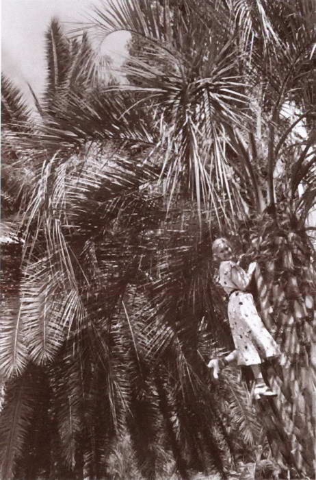 Иллюстрация к книге — Любовь Орлова [i_036.jpg]