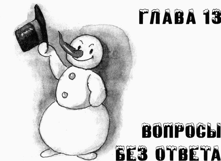 Иллюстрация к книге — Юбилей Деда Мороза [i_037.jpg]