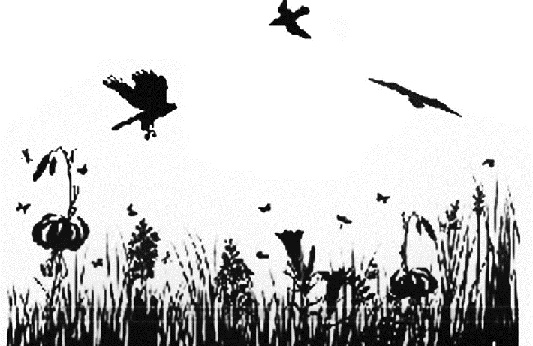 Иллюстрация к книге — Златоуст и Златоустка [i_011.jpg]