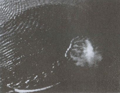 Иллюстрация к книге — Вторая мировая война на море и в воздухе. Причины поражения военно-морских и воздушных сил Германии [i_061.jpg]