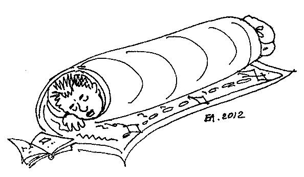 Иллюстрация к книге — Космонавт №34. От лучины до пришельцев [i_010.jpg]