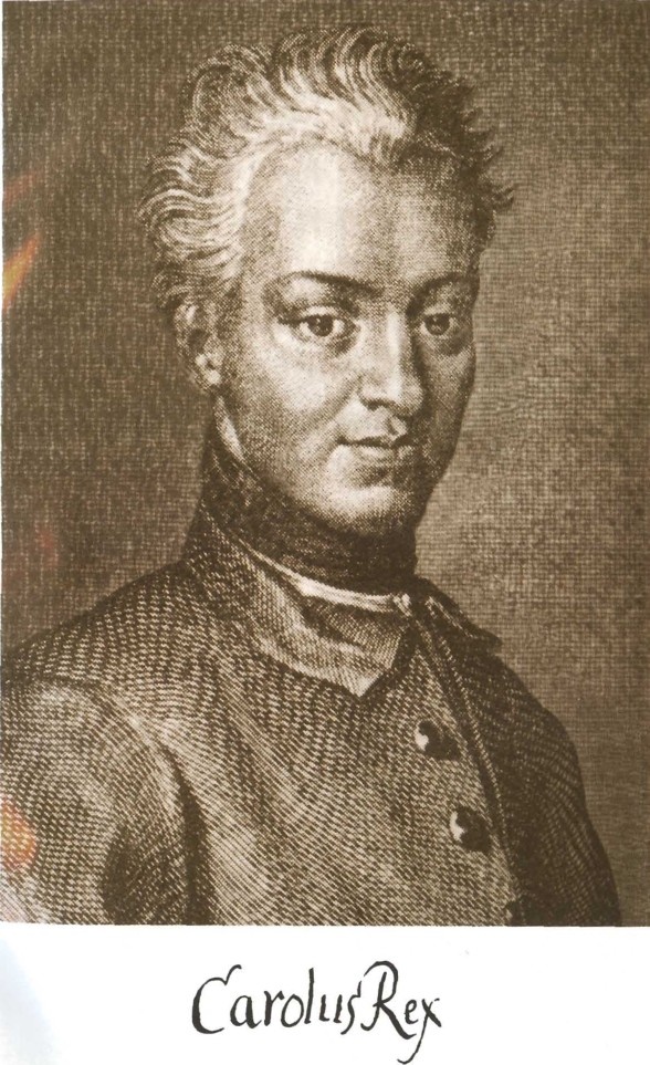 Иллюстрация к книге — Карл XII, или Пять пуль для короля [i_003.jpg]