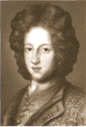 Иллюстрация к книге — Карл XII, или Пять пуль для короля [i_011.jpg]