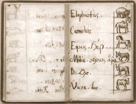 Иллюстрация к книге — Карл XII, или Пять пуль для короля [i_012.jpg]