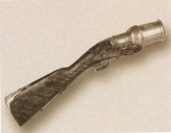 Иллюстрация к книге — Карл XII, или Пять пуль для короля [i_059.jpg]