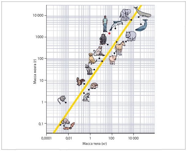 Иллюстрация к книге — Аналитическая культура. От сбора данных до бизнес-результатов [i_058.jpg]