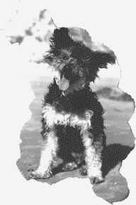 Иллюстрация к книге — Любимец Израиля. Повести веселеньких лет [_8.jpg]