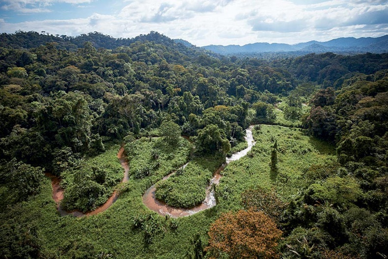 Иллюстрация к книге — Потерянный город Обезьяньего бога [i_007.jpg]