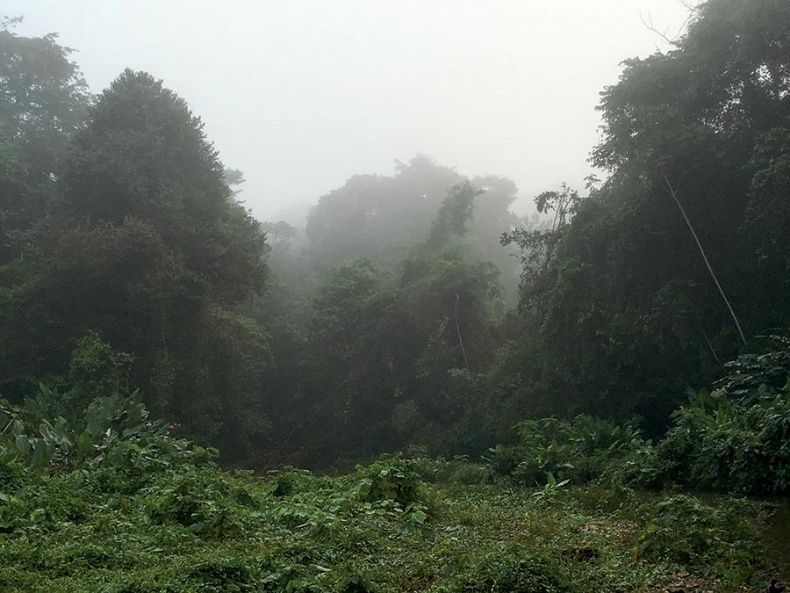 Иллюстрация к книге — Потерянный город Обезьяньего бога [i_022.jpg]