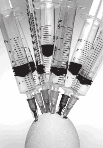 Иллюстрация к книге — Смертельно опасный выбор. Чем борьба с прививками грозит нам всем [_0336.jpg]