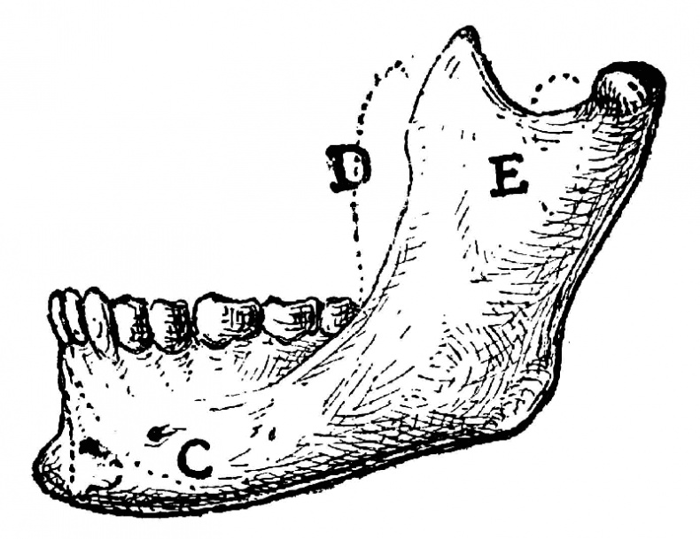 Иллюстрация к книге — Битва за ресурсы [_179.jpg]