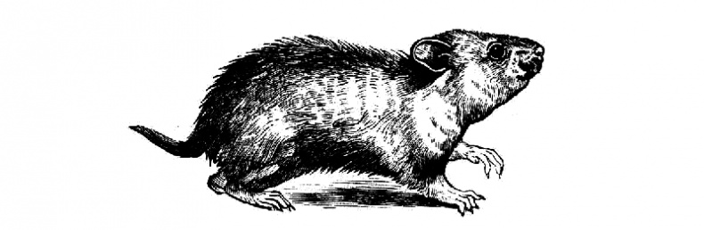 Иллюстрация к книге — Битва за ресурсы [_188.jpg]