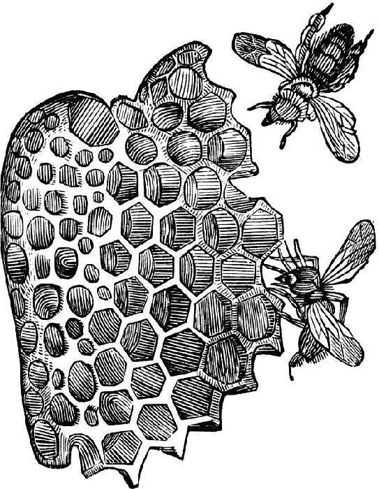 Иллюстрация к книге — Битва за ресурсы [_206.jpg]