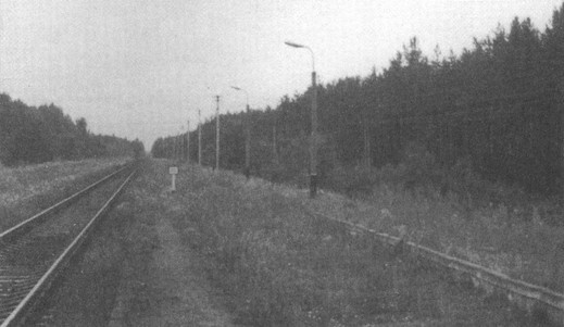 Иллюстрация к книге — Братья Бельские [i_009.jpg]