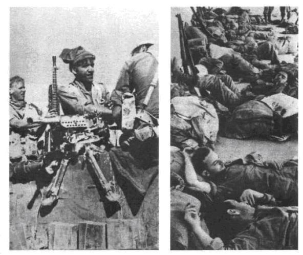 Иллюстрация к книге — Арабо-израильские войны. 1956, 1967 [_07.jpg]